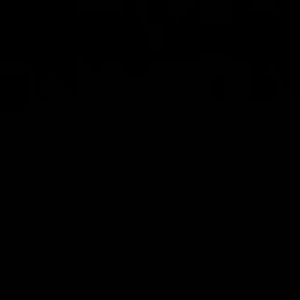 Meet your Posher, Alondra